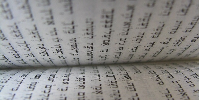 איך אומרים באנגלית ספר במדבר